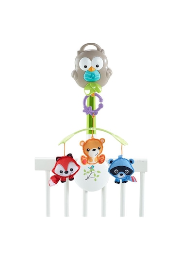 Fisher Price 3'ü 1 arada Baykuş Dönence CDM84