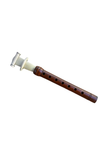 RENKLENDİRİLMİŞ MEY ORTA BOY 26 CM - LA + KAMIŞ HEDİYE
