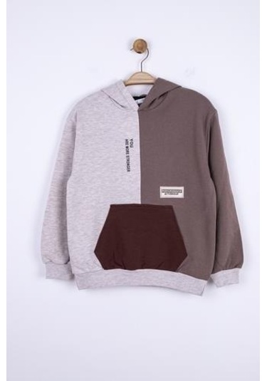 Erkek Çocuk Kapüşonlu Kanguru Cepli Renk Bloklu Sweatshirt-13017-vizon Vizon
