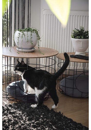 Dekoratif Kedi Yuvalı Yastıklı Metal Sepetli 2’li Orta Sehpa