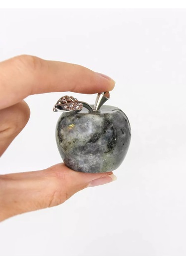 Home Balance Raf İçin İç Mekan Bibloleri 180526150