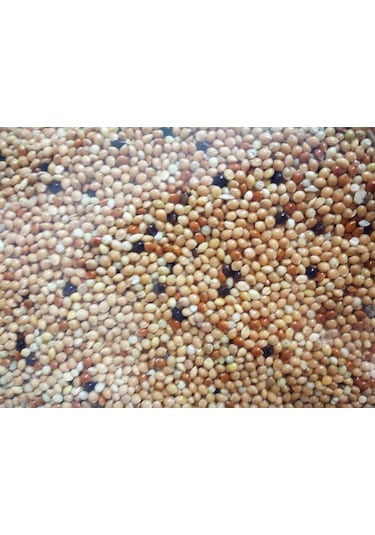 Versele Laga Col. Pickstone Red Güvercin Mineral Dest.