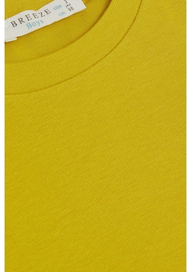 Breeze Erkek Çocuk Uzun Kollu Tişört Basic 1-4 Yaş, Fıstık Yeşili-fıstık Yeşili