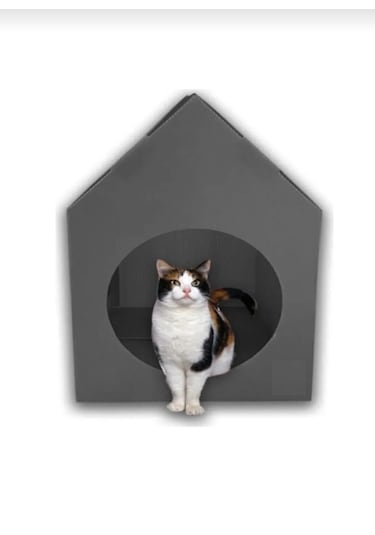Kedi Evi Kulübesi Yuvası