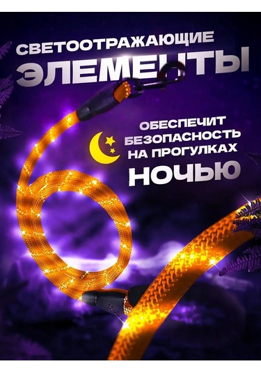 Petfort 3 M Yansıtıcı Naylon Köpek Tasması 167502168 Turuncu