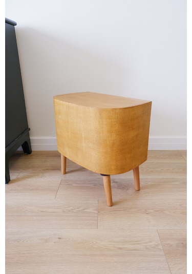 Huncar Kedi Evi Dekoratif Retro Plak Çalar Kedi Evi