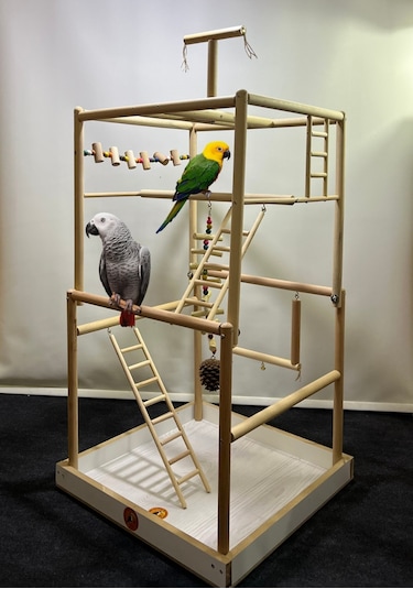 Paks Pet Büyük Boy Papağan Oyun Alanı 55 x 55 x 110 CM