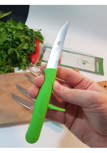 Sürbisa Meyve Takımı Yeşil 6'lı 61007 7.0 Cm Çok Renkli