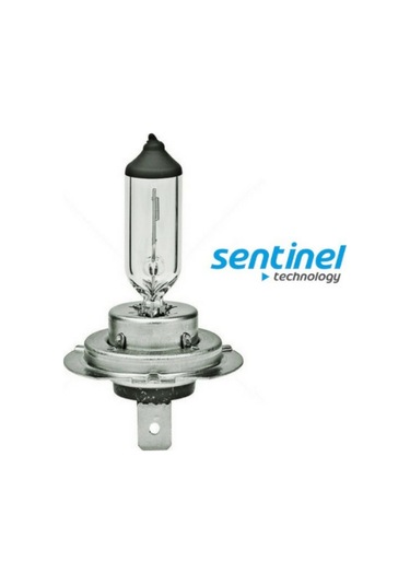 Sentinel H7 Halojen Far Ampülü 12 Volt 55watt