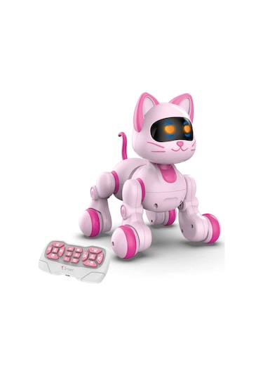 Uzaktan Kumandalı Ses Kontrollü Programlanabilir Akıllı Robot Kedi