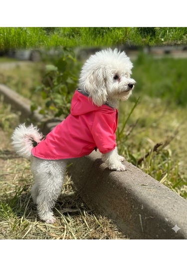Kedi - Köpek Kıyafeti Kapşonlu Pembe Yağmurluk & Mont