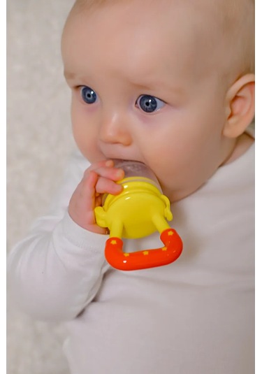 Yenidoğanlar İçin Silikon Ağlı Ek Gıda Nibler 347966064 Gri