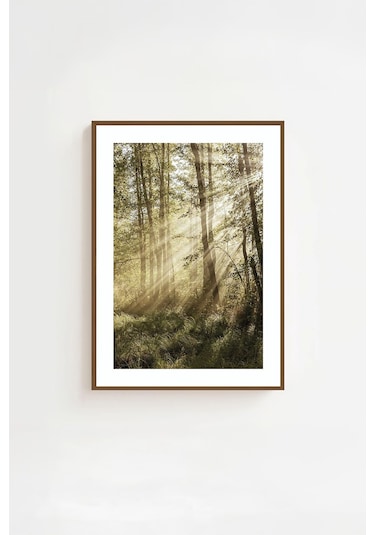 Tek Parça Kahverengi Gerçek Ahşap Çerçeveli Tablo Seti - Model 7 - Ersykhvcrv7