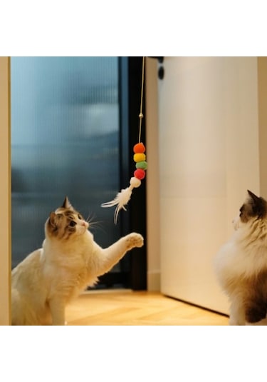 Elastik Kendinden Yapışkanlı Kedi Oyun Oltası