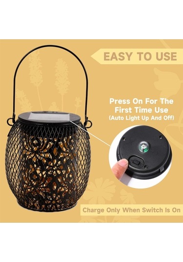 Dancemonkey Solar Bahçe Işıkları 2'li Paket: Ip65 Su Geçirmez Gül Işıkları Gül