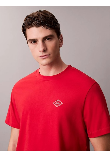 Erkek 20s Calvin T-shirt Kırmızı