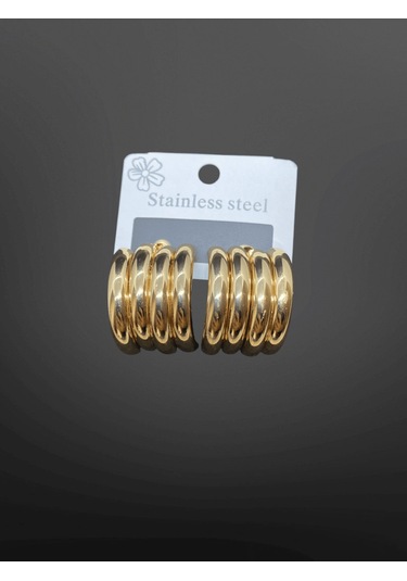 Altın Renkli 316l Çelik Halka Model Kadın Küpe Zamansız Ve Şık Altın