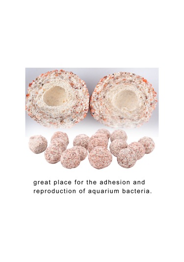 Folinda Akvaryum Bakteri Kültürü Topları - Tuzlu Ve Taze Su Uyumlu, Nitrifikasyonu Hızlandırır, Suyu Safaltır, Ph/gh Değiştirmeden Dayanıklı 2 Yıl Kullanıma Uygun