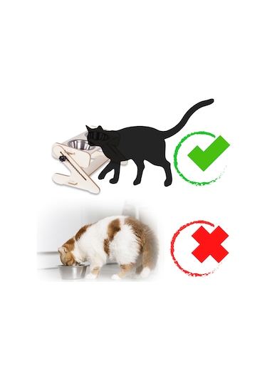 Pati Homes Kedi Mama ve Su Kabı - Yükseklik ve Açı Ayarlı