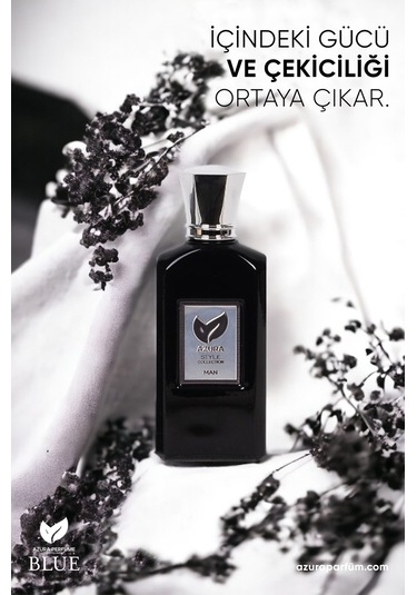 Azura E11 Style Erkek Parfüm EDP 60 ML