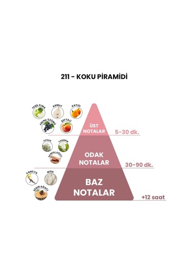 BEX 211 Kadın Parfüm EDP 50 ML