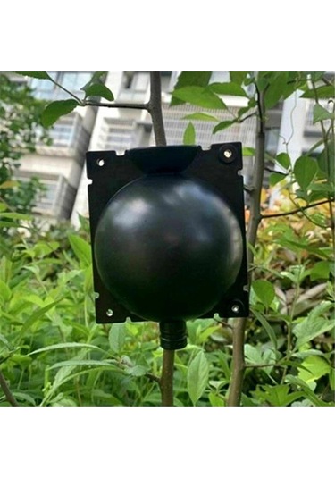 Geeksen Bitki Klonlama Kutusu - Ağaç Ve Çiçek Sapları İçin Kök Geliştirici, Sert Plastik, 8cm Orta Boy, Siyah, 10 Adet Set