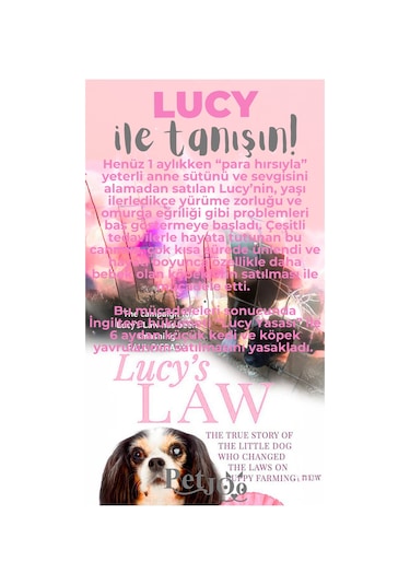 Petjoo 11.Lucy Gri-Pembe Qr'lı Köpek Künyesi
