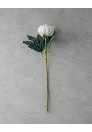 English Home Peony Tek Dal Yapay Çiçek Şampanya Şampanya