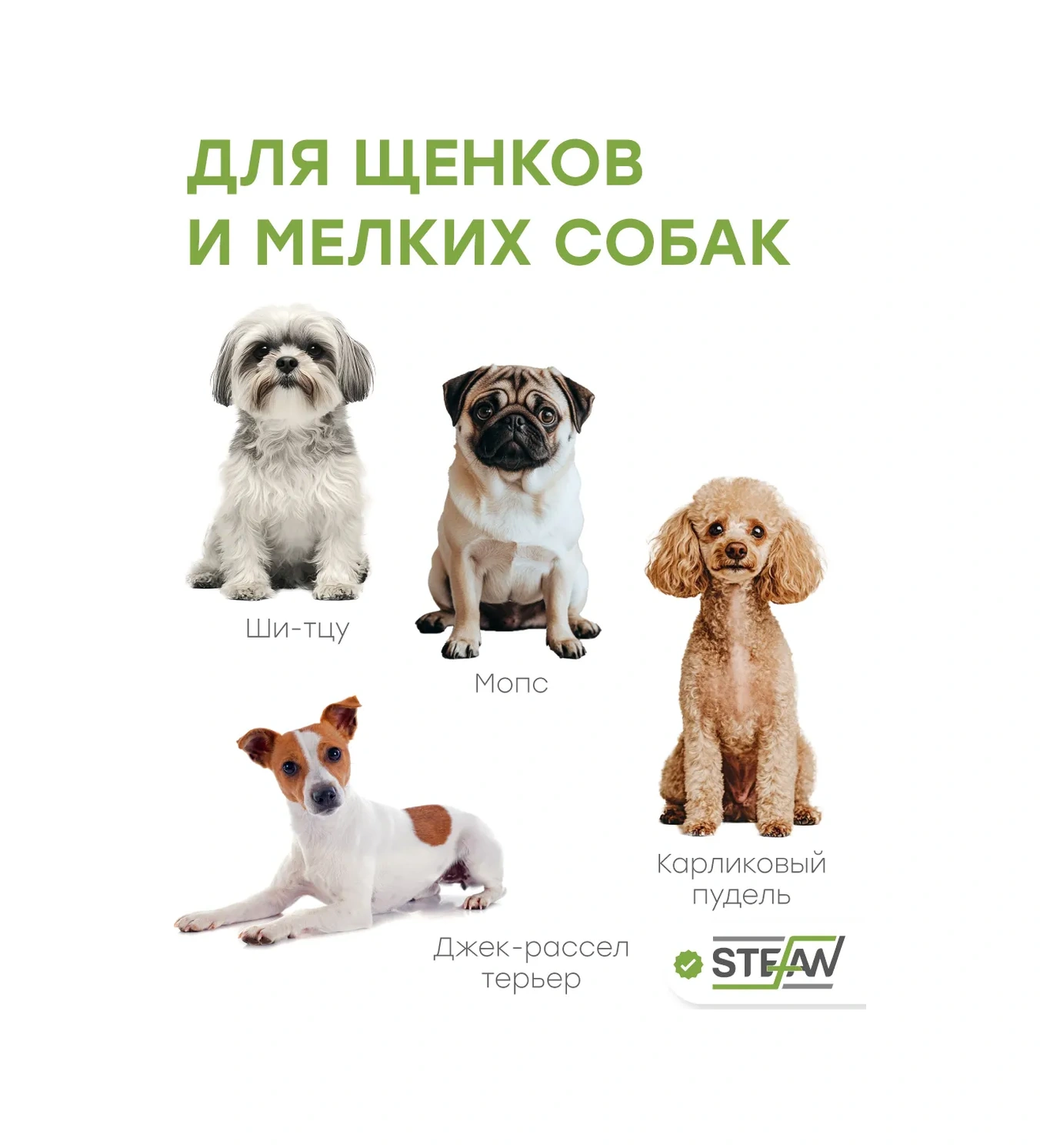 Stefan Köpek Tuvaleti İçin Fileli Tepsi 147784959