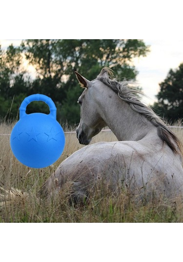 Homyl At Oyuncak Oyun Topu Meyve Kokulu Pet Joy Rastgele-renk Rastgele Renk