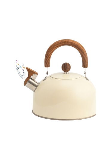 Paslanmaz Çelik Demlik Karma Renk Diğer