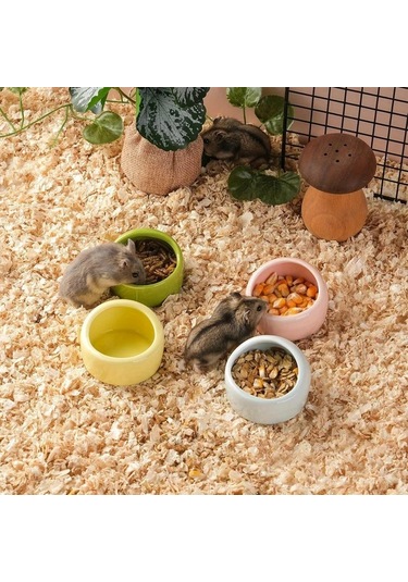 Honeybeeshop 3 Parça Seramik Hamster Kasesi Random Color 3 Pieces Sıçrama Dayanıklı Devrilmez Çiğnemeye Dayanıklı Kolay Temizlenir Hamster Ginepig Chinchilla Kirpi