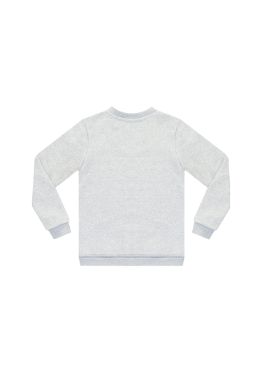 Denokids Rawr Dino Erkek Çocuk Sweatshirt -  Gri Melanj