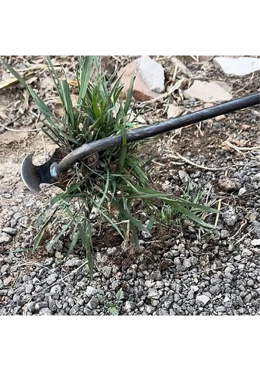 Singree "4 Dişli Dayanıklı Bahçe Çapalama Aleti - Yabani Ot Temizleme Ve Toprak Kabartma İçin Mükemmel Çözüm"