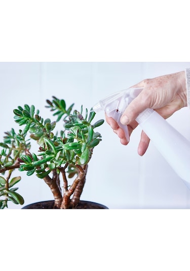 Çok Amaçlı Spreyli Şişe Şeffaf 350 Ml