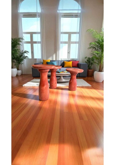 Maun Renkli Ahşap Mantar Sehpa 3lu Yan Sehpa Takımı