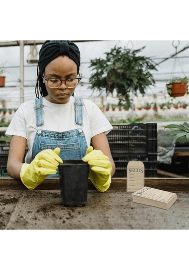 Pazly 100 Adet Kendinden Yapışkanlı Tohum Zarfı - Organizasyon Ve Koruma İçin Kraft Kağıt Seti