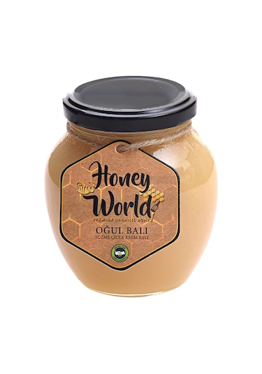 Honey World Organik Oğul Balı Süzme Çiçek Krem Balı 470 G