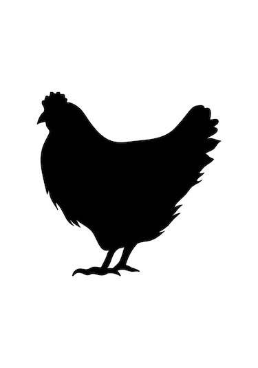 Tavuk Folyo Sticker 100cm Uzunluk Karışık Renkli