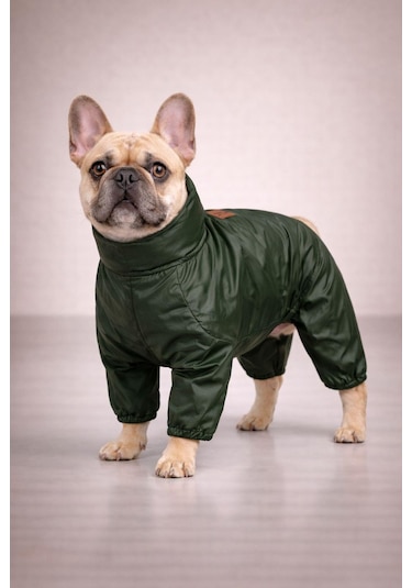 Alphadog Pine Polarlı Küçük Irk Köpek Yağmurluk Tulumu
