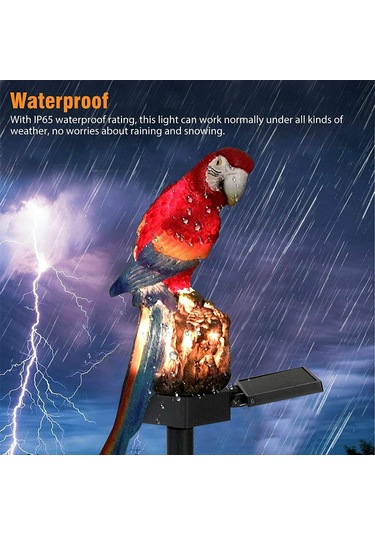 Yifomall Kırmızı Papağan Güneş Enerjili Bahçe Lambası - Ip65 Su Geçirmez Dış Mekan Dekorasyon Aydınlatması