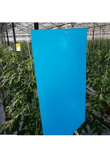 10 X 25 Cm Mavi Yapışkan Kart Tuzak 10 Adet