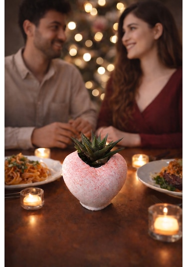 Pembe Kalp Saksıda Sukulent Romantik Canlı Hediye