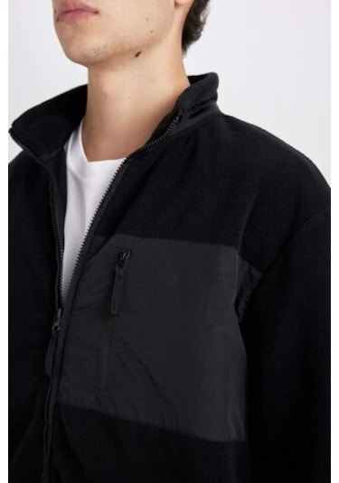 DeFacto Regular Fit Dik Yaka Fermuarlı Cepli Polar Hırka A6892AX24WNBK81 Siyah