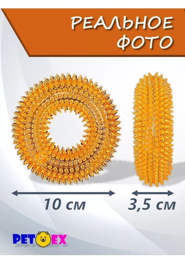 Pet-ex Küçük Köpekler İçin 10 Cm'lik Zangırtılı Ve Dikenli Köpek Tasması 241229175