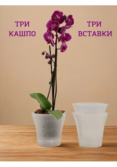 Live-in-green 2l Şeffaf Plastik Orkide Saksı S 342131425