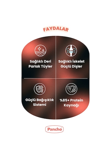 Pancho Tavuklu Yavru Kedi Maması 15 KG