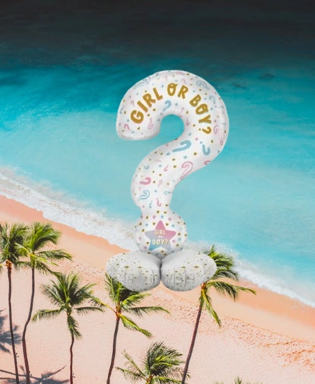 Folyo Balon Soru İşareti 60x110cm Cinsiyet Partisi Ayakta Durabilen Cinsiyet Partisi Temalı Folyo Balon Diğer