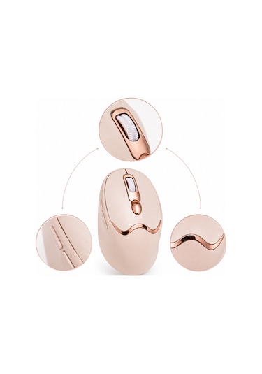 Ergonomik Tasarımlı Kablosuz Mouse Bluetooth Ve Usb Alıcılı Standart