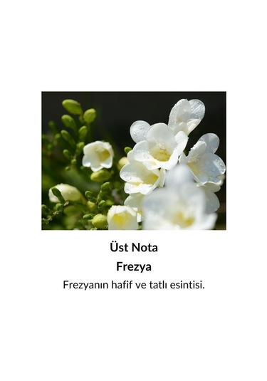 Alescia St-139 Kadın Parfüm EDP 50 ML